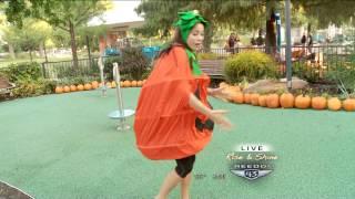 Reporter in pumpkin costume