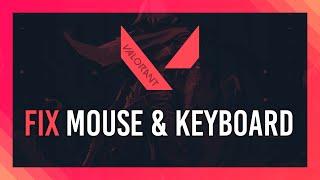 Fix Disabled Mouse & Keyboard | Valorant 2024