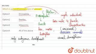 Which is gynandromorph type of animal  ?