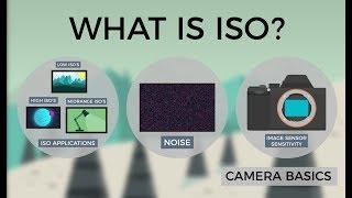 Camera Basics - ISO
