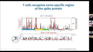 IEDB - the Immune Epitope Database