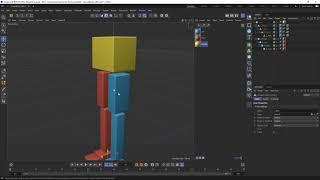 Cinema 4D R25 Basics: Lower Body Hierarchy