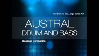 Austral Drum and Bass - Drum and Bass Samples - Basslines - Synth Loops - Sample Pack