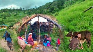 This is Himalayan village life in Nepal ||daily Activities people in Nepali mountain village lifesty