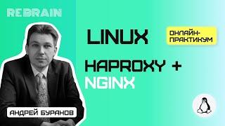 Linux by Rebrain: Haproxy + nginx