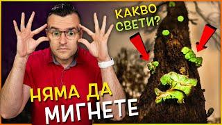 10 ОСОБЕНИ НЕЩА, от които НЯМА ДА ОТДЕЛИТЕ ПОГЛЕД