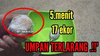 Ini baru umpan, 100% tampa essen ikan ganas luwarbiasa,