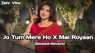 Jo Tum Mere Ho X Mai Royaan - Mashup (Slowed+Reverb) Anu Jain ft. Zehr Vibe