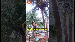 Video lucu hiburan warga 62 video lucu banget bikin ngakak sakit perut #shorts