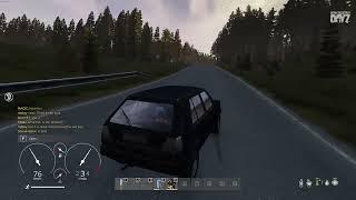 DayZ - Bear Mountain server bear hordes are insane !