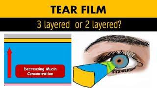 Tear Film: Anatomy, Biochemistry and Physiology