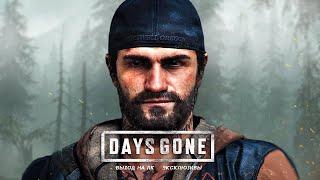 Анонсировали Days Gone на ПК: системные требования, страничка ИГРЫ, бесплатные DLC (Days Gone ПК)