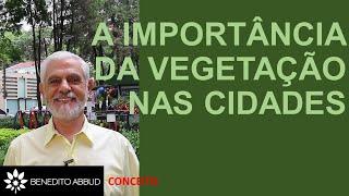 A IMPORTÂNCIA DA VEGETAÇÃO NAS CIDADES