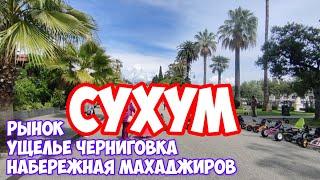 Рынок в Сухум,что и  почём? Ущелье Черниговка-стоит ли посетить? Абхазия 2024