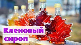 Кленовый сироп | Как это сделано | Maple syrup