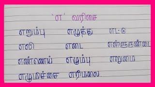 எ வரிசை வார்த்தைகள்/tamil 2 line writing/tamil handwriting/Feathers Learning