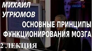 ACADEMIA. Михаил Угрюмов. Основные принципы функционирования мозга. 2 лекция. Канал Культура