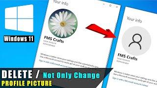 How to remove administrator account picture in windows 11