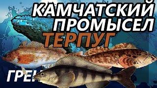 Камчатский промысел Терпуг / РР3 [ Русская рыбалка 3.9 Гренландия]