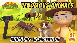 Venomous Animals Minisode Compilation - Leo the Wildlife Ranger | Animation | For Kids