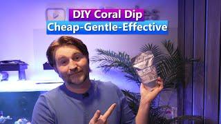 DIY Coral Dip - Kills Pest - Gentle on your corals