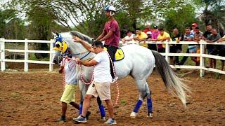 O grande Derby: DICKY BRUMMEL vs In Love Heart HBR...