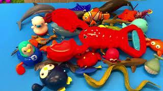 Toss and Learn: Sea Animal Toys in the Tub