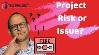 Whats The Difference Between A Project Issue And Risk? The Project Management Guide