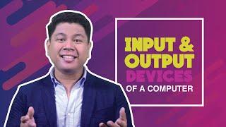 COMPUTER INPUT AND OUTPUT DEVICES