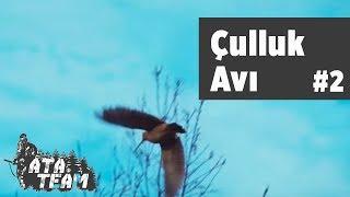 Çulluk Avı  Ata Team 2. Bölüm  Yaban Tv Woodcock Hunting