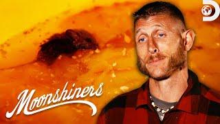 When Moonshine Batches Go Wrong | Moonshiners | Discovery