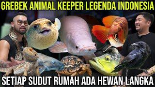 GREBEK ANIMAL KEEPER LEGENDA INDONESIA!! SETIAP SUDUT RUMAH ADA HEWAN LANGKA!! #KINGOFTHEJUNGLE