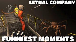 The FUNNIEST moments in LETHAL COMPANY