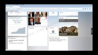 SAP SuccessFactors Overview