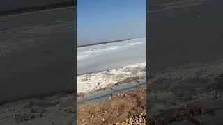 #rannofkutch#whiterann #travel #rannofkutch #travelvlog #vlog #desert #kutchtourism