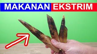 NYOBAIN 4 MAKANAN EKSTRIM, ENAK DAN ANEH