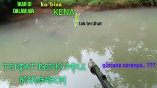 NEMBAK IKAN DI TEMPAT KUMPULNYA IKAN IKAN BABON || paser mania