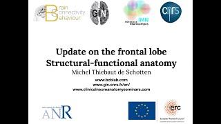 The Frontal Lobes - An Update on their structural and functional anatomy