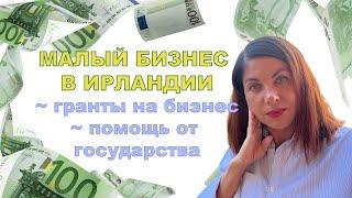 Малый бизнес в Ирландии . Помощь от государства. Гранты