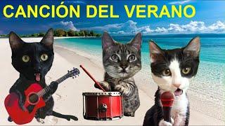 LA CANCION DEL VERANO 2024 pero con los gatos Luna y estrella / Canciones en español