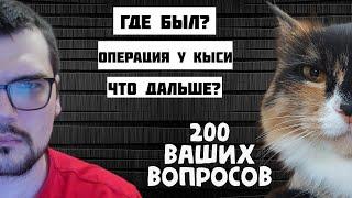 ГДЕ БЫЛ? ОПЕРАЦИЯ у КЫСИ. КАК ДАЛЬШЕ ЖИТЬ? - ОТВЕТИЛ на 200 ВАШИХ ВОПРОСОВ