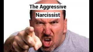 The Aggressive Narcissist (World Neuroscience and Psychiatry Conference 2025 (WNPC25)