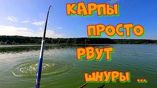 КАК и на ЧТО ловить КАПРИЗНОГО КАРПА в ИЮНЕ ? ТАКТИКА ловли КАРПА на БОКОВОЙ КИВОК  летом .