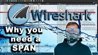 THIS is why you're not seeing network traffic with Wireshark #wireshark #networking #ubuntu #linux