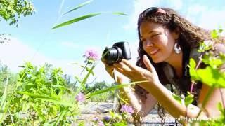 The Tools of A Naturalist