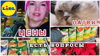 Латвия Мои находки в Лидл Цены на товар Какую работу предложили? #lidl Азия в Магазине #рекомендации