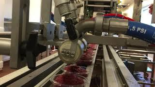 Leonhardt AG2 Automated Dosing Solution for Raspberry Puree| Automation in the Food Industry