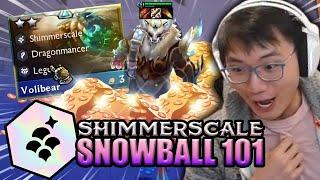 How to Snowball with Shimmerscale