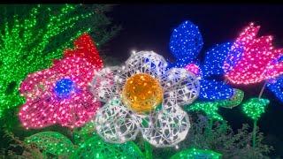 Christmas Lights at the Atlanta Botanical Garden - Garden Lights Holiday Nights 2024