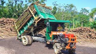 Repair And Maintain Trucks - Use Truck To Transport Wood To Sell To Wood Factory - Buy a motorbike